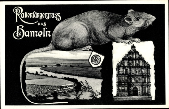 Postcard Hamelin on the Weser Lower Saxony, Pied Piper House, panorama