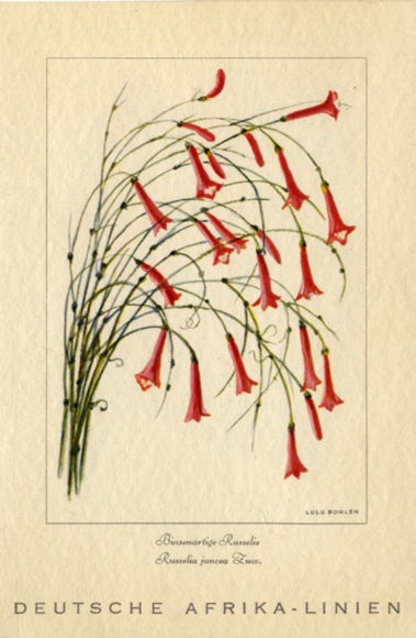 Artist menu card, Bohlen, Lulu, steamer Adolph Woermann, July 22, 1938, main meal, Russelie