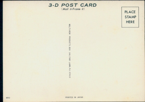 3-D Postcard Blooming Tulips, Flowers, Parrot, Cage