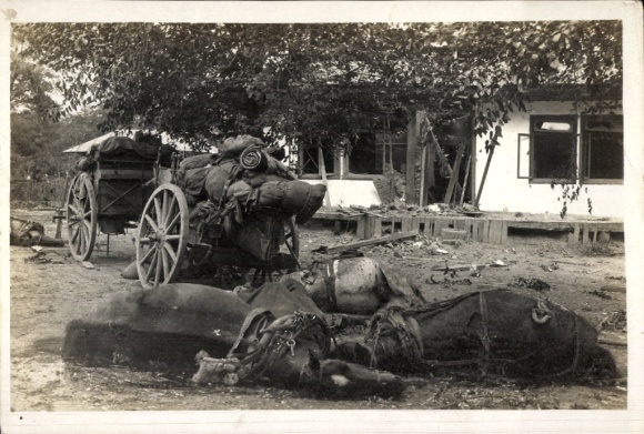 Photo Postcard Sasul Romania, dead draft horses, army wagons, WWI