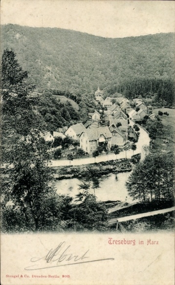 Ak Treseburg Thale im Harz,  malerische Landschaft mit Häusern und Fluss