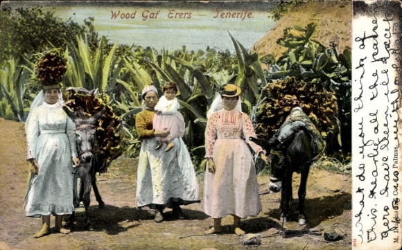 Postcard Tenerife, wood collector