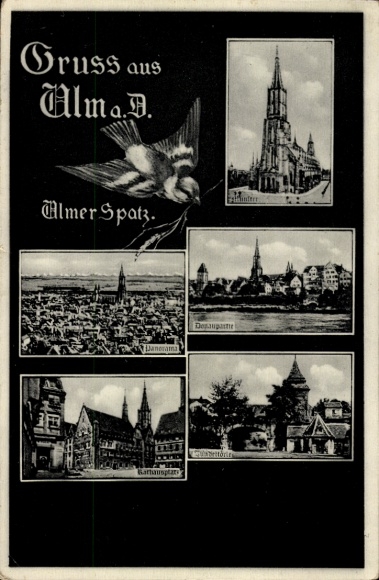 Postcard Ulm on the Danube, Münster, Panorama, Ulmer Spatz