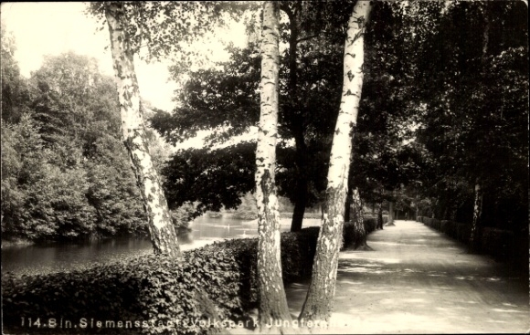 Photo Postcard Berlin Spandau Siemensstadt, Volkspark Jungfernheide