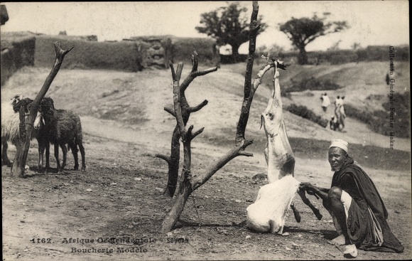 Postcard Sudan, Afrique Occidentale, Boucherie Modele, man skinning sheep