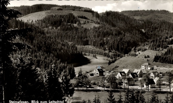 Ak Steinwiesen in Oberfranken, Blick auf das Leitschtal, bewaldete Hügel, kleine Häuser