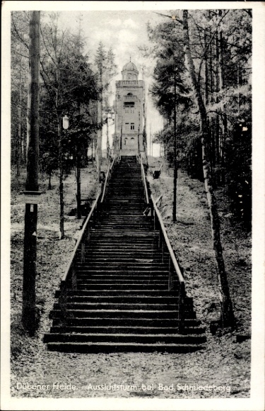 Ak Bad Schmiedeberg in der Dübener Heide, Aussichtsturm, Treppe, Wald, Schwarz-Weiß-Foto