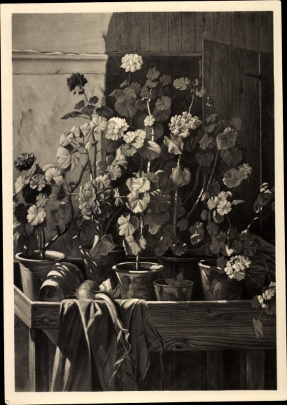 Artist PC Jurutka, Josef, geraniums, geraniums, flower pots, HDK 609