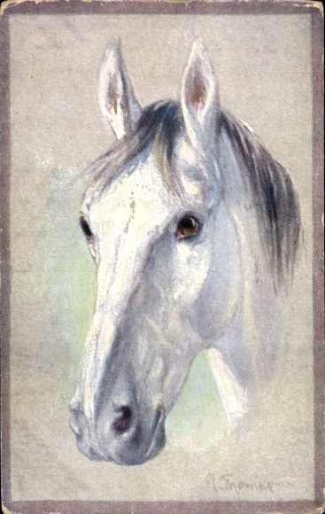 Ak Altkötzschenbroda Radebeul Sachsen, Pferd gemalt von Paul Thomas