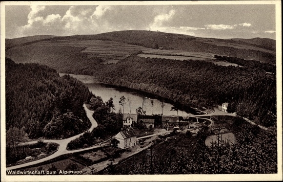 Postcard Niederfischbach in Siegerland, forestry to the Alpine lake, Tüschebachsmühle