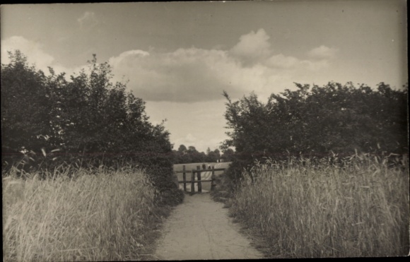 Postcard Hoisdorf in Schleswig-Holstein, Harms Gasthof, field