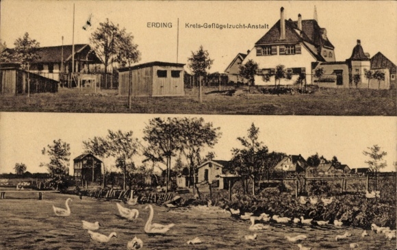 Postcard Erding in Upper Bavaria, district poultry breeding establishment, river section