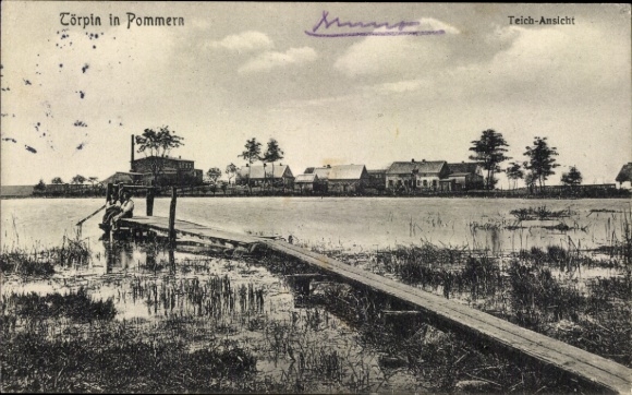 Postcard Törpin in Pomerania Sarow Vorpommern, pond