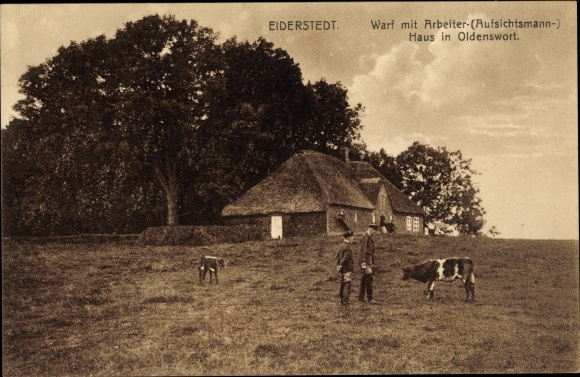 Ak Oldenswort in Noord-Friesland, Eiderstedter Land, gooide huis met arbeidersopzichter