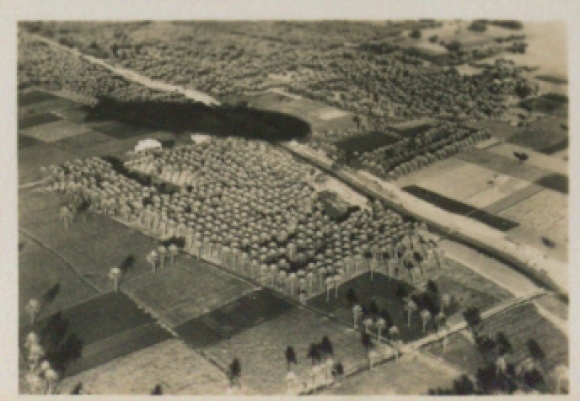 Collection picture Zeppelin world trips No. 221 Egypt trip 1931, over palm forests, ship shadow