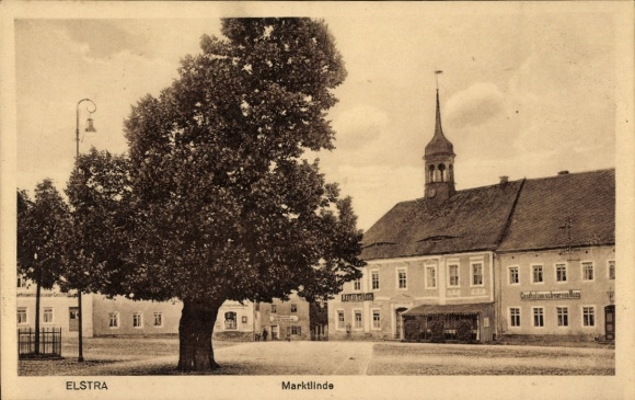 Postcard Elstra in Upper Lusatia Saxony, market linden tree