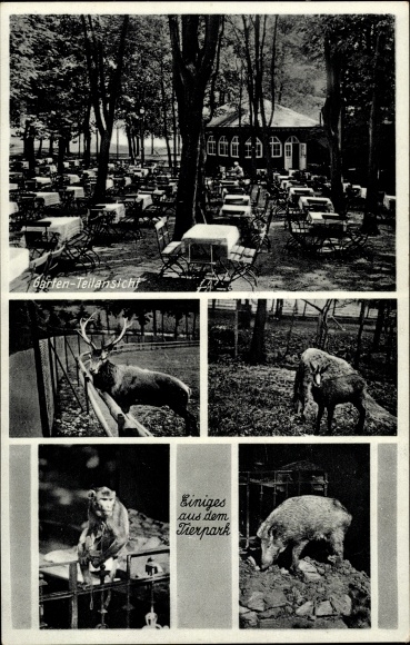 Postcard Holzmühle Plauen im Vogtland, wood mill, deer, monkey, wild boar