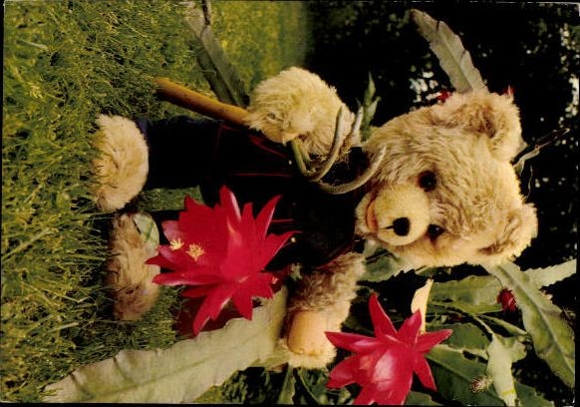 11 old PCs Teddy the bear, various views