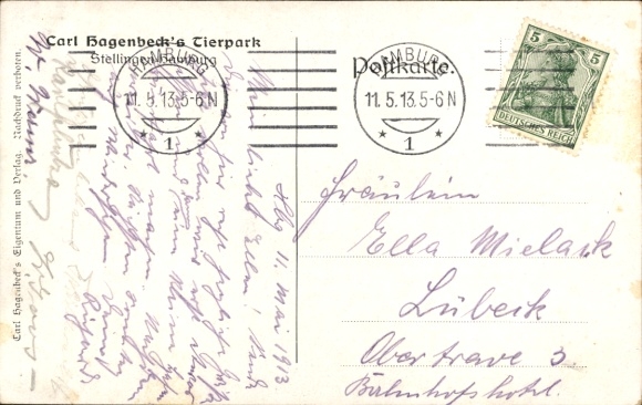 Postcard Hamburg Eimsbüttel Stellingen, Carl Hagenbeck's Tierpark, Nordland Panorama, polar bears, seals