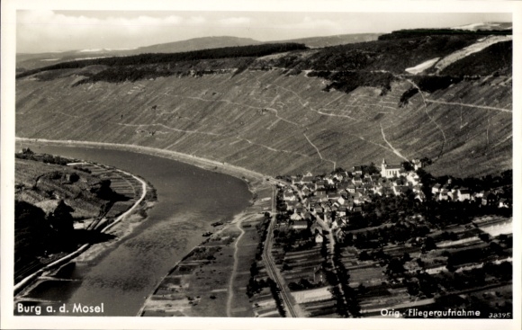 Ak Burg an der Mosel, Luftaufnahme von Burg, Mosel, Weinberge, Fluss, Dorf