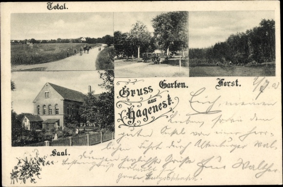 Postcard Hagenest Regis Breitingen Saxony, garden, aerie, hall, total view
