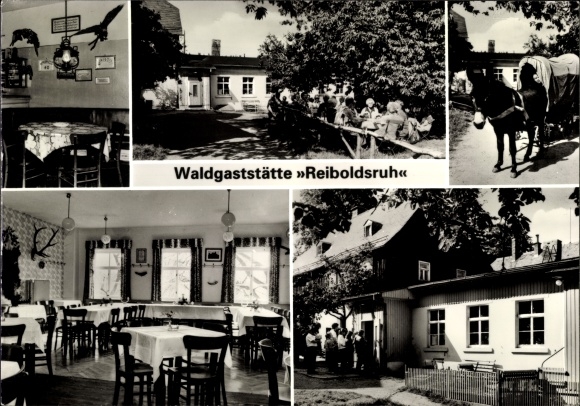 Ak Reiboldsruh slak groen Rosenbach Vogtland, bosrestaurant Reiboldsruh, ezelkoets