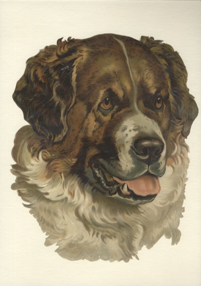 Wafer head of a St. Bernard, size approx. 23.5 x 19 cm