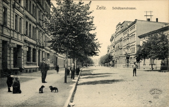 Ak Zeitz im Burgenlandkreis, Schützenstraße, Dackel