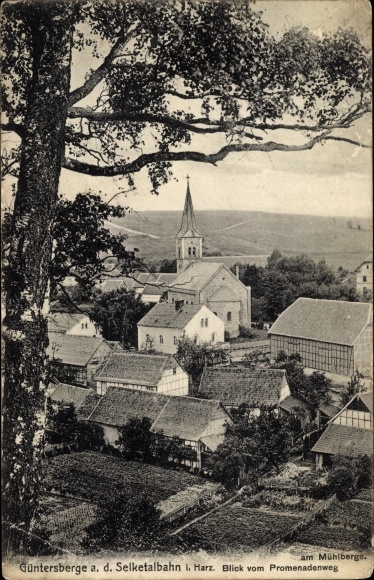 Ak Güntersberge Harzgerode am Harz, dorpsgezicht met kerk
