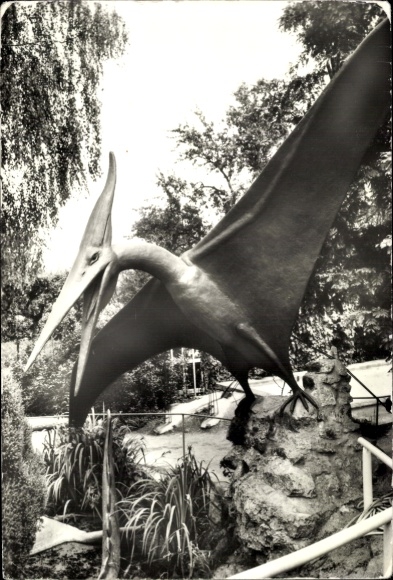 Postcard Kleinwelka Bautzen in Lusatia, dinosaur park, Pteranodon, Cretaceous