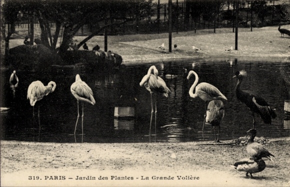 Postcard Paris V, Jardin des Plantes, La Grande Aviary
