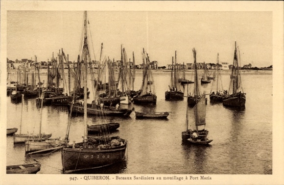 CPA Quiberon Morbihan, Bateaux Sardiniers au mouillage a Port Maria