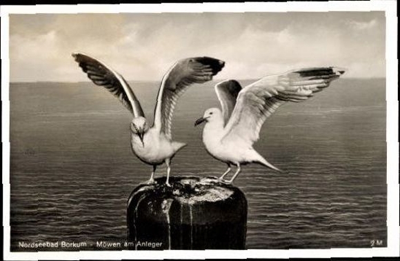 10 old PCs Insel Borkum, various views