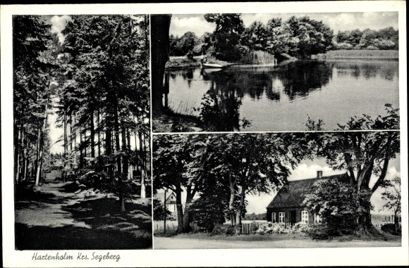 PC Hartenholm Schleswig Holstein, forest area, lake view, house