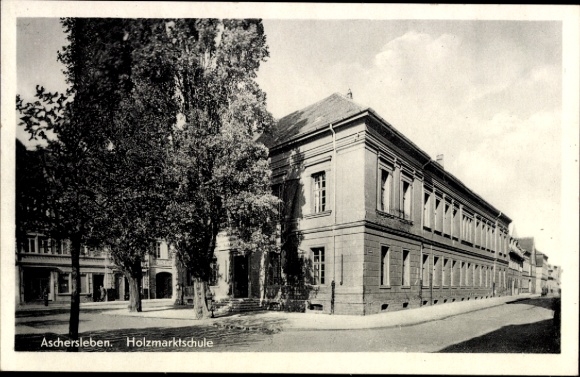 Ak Aschersleben im Salzlandkreis, Holzmarktschule, Straße, Bäume,  Architektur