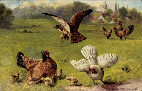 Artist Postcard Müller, A., Hawk has attacked chickens, chicks, hunting prey