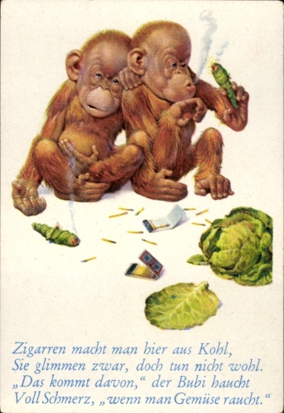 Collector's picture funny pictures No. 65, orangutans smoke cigars made of cabbage