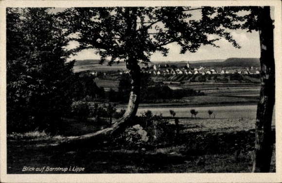 Ak Barntrup Lippe, Blick aus der Ferne