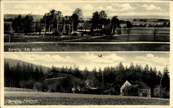 Ak Sornßig Hochkirch in Sachsen,  Alte Mühle, Forsterei, Landschaft, Bäume