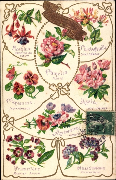 Embossed Postcard Language of Flowers, Blumensprache, Fuchsia, Camelia, Azalea, Nasturtium, Anemone