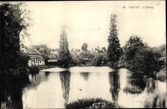 Postcard Yvetot Seine Maritime, L&#39;Etang
