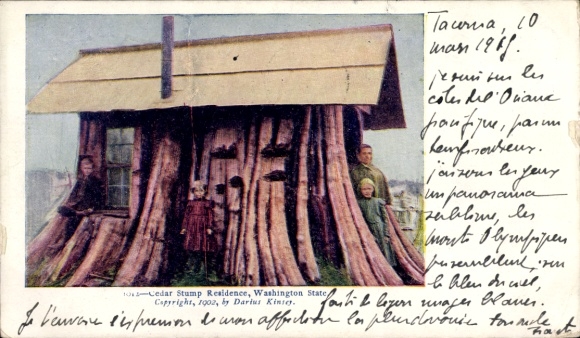 Ak Tacoma Washington USA, Cedar Stump Residence, Washington State, 1902, Menschenbilder, Postk...