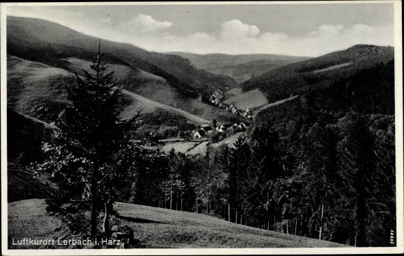 Ak Lerbach Osterode am Harz, Landschaftsblick, Ort