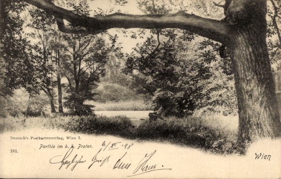 Ak Wien 2, Parklandschaft im Prater
