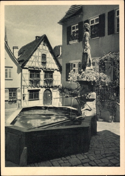 Ak Marbach am Neckar, geboorteplaats van Schiller, oude fontein met de Wilde Man