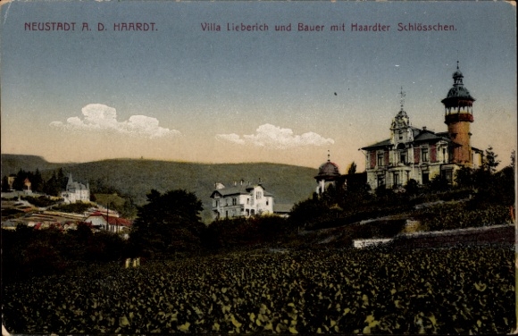 Ak Neustadt an der Haardt Neustadt an der Weinstraße , Villa Lieberich, Bauer, Haardter Schlössch
