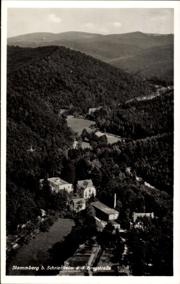 Ak Stammberg Schriesheim an der Bergstraße, Luftaufnahme von Stammberg, bewaldete Umgebung,  Gebä