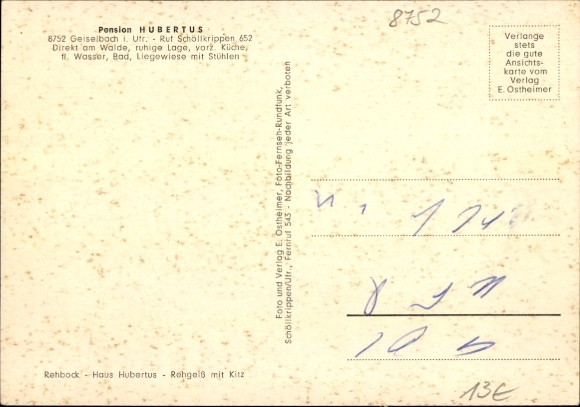 Ak Geiselbach in Neder-Franken, Pension Hubertus, panorama, edelhert, reekalf