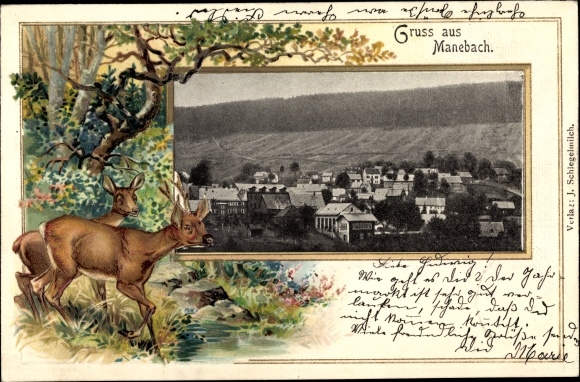 passe-partout Ak Manebach Ilmenau in Thüringen, algemeen beeld, herten