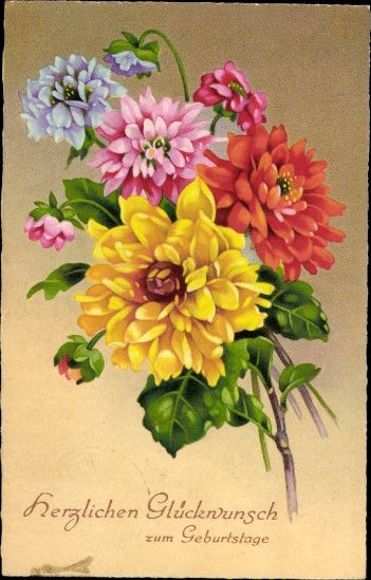 10 old AK flower pictures, flower photos, different views